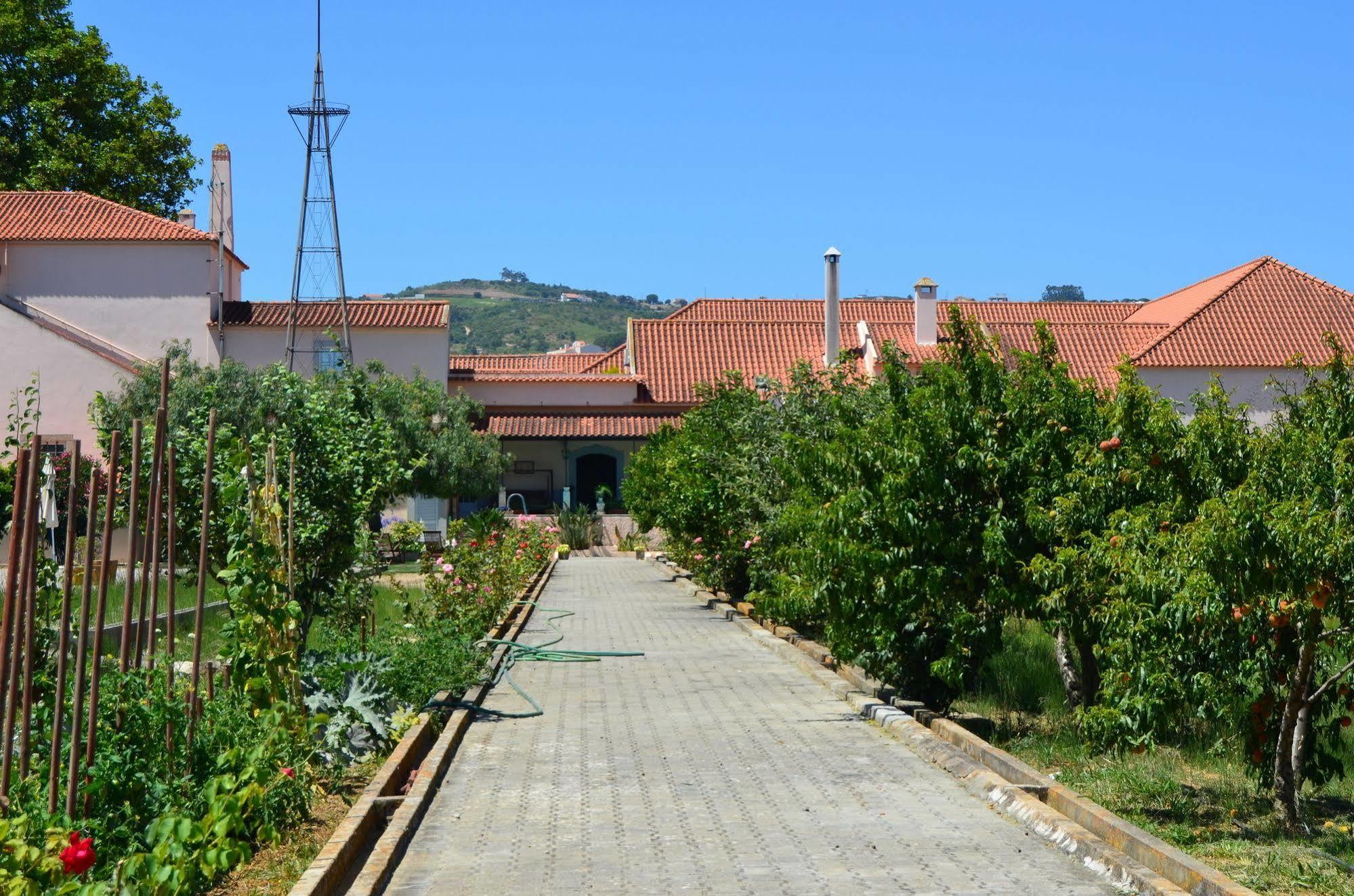 Quinta Do Covanco Alenquer Exteriör bild